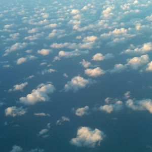 Meet your Posher, Anastasia